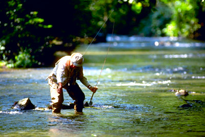 BC Fishing Vacations